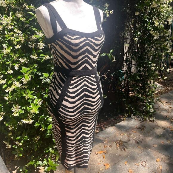 FOREVER 21 ANIMAL PRINT ZEBRA KNIT BODYCON DRESS M - Picture 7 of 11